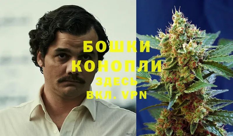 МАРИХУАНА OG Kush  продажа наркотиков  кракен ССЫЛКА  Бакал 